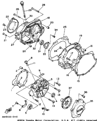 Crankcase Cover 1