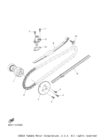 Camshaft Chain