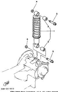 Rear Shocks