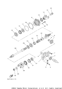 Middle Drive Gear
