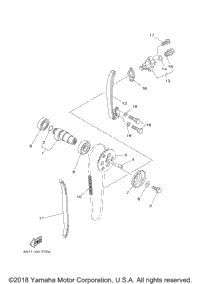 Camshaft & Chain