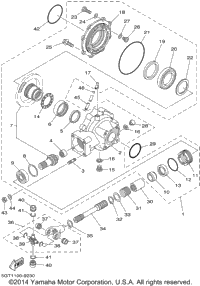 Drive Shaft