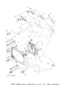 Radiator & Hose