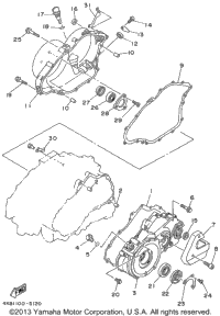 Crankcase Cover 1