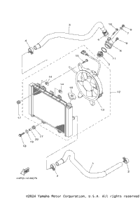 Radiator & Hose