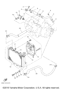 Radiator Hose