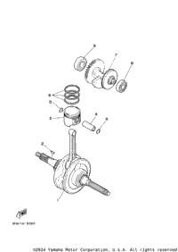 Crankshaft Piston