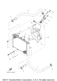 Radiator Hose