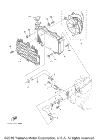 Radiator Hose