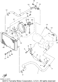 Radiator Hose