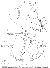 Radiator - Hose