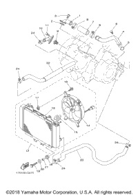 Radiator Hose