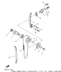 Camshaft. Chain
