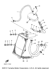 Radiator Hose