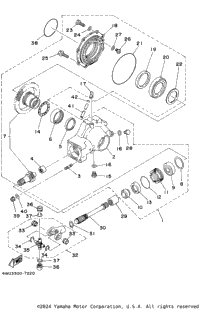 Drive Shaft