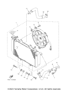 Radiator & Hose