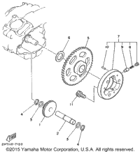 Starter Clutch