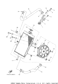 Radiator & Hose
