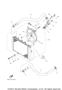 Radiator Hose