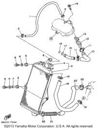 Radiator - Hose