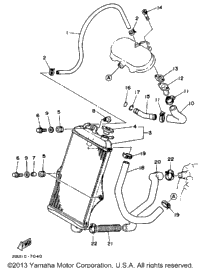 Radiator - Hose