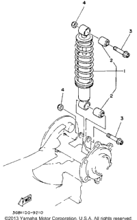 Rear Shocks