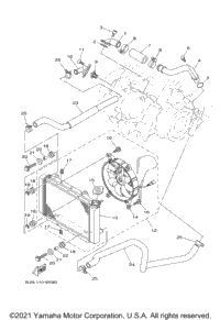 Radiator & Hose