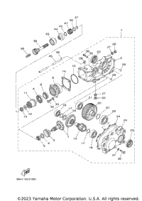 Drive Shaft