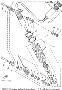 Rear Shocks