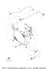 Radiator Hose