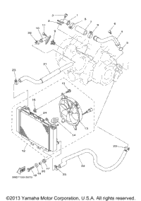 Radiator Hose
