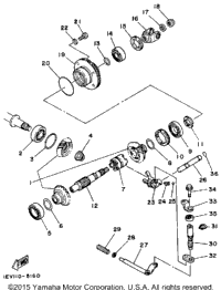 Middle Drive Gear