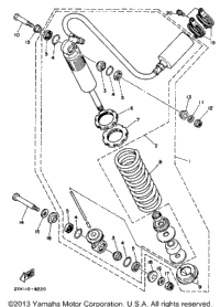 Rear Shocks