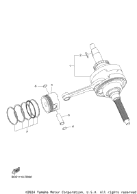 Crankshaft & Piston