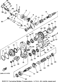 Middle Drive Gear