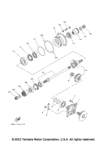Middle Drive Gear