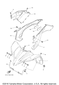 Front Fender