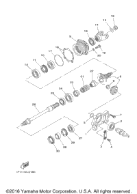 Middle Drive Gear