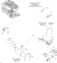 Exhaust System