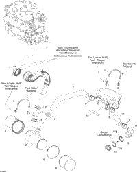 Exhaust System