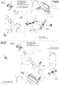 Exhaust System