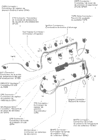 Engine Harness Rotax