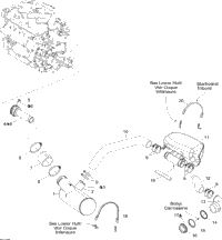 Exhaust System