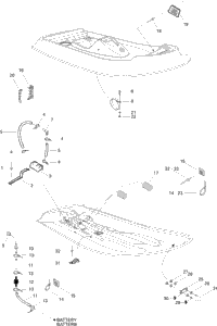 Body And Accessories 2