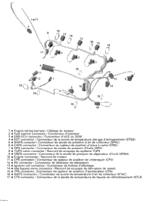 Engine Wiring Harness