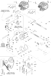 Electrical System