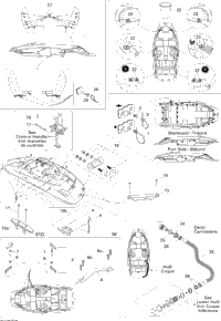 Body And Accessories