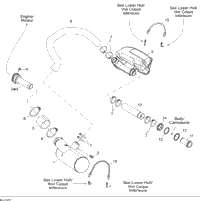 Exhaust System
