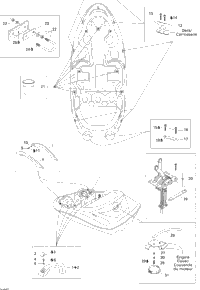 Body And Accessories