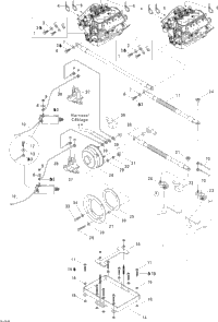 Electrical System